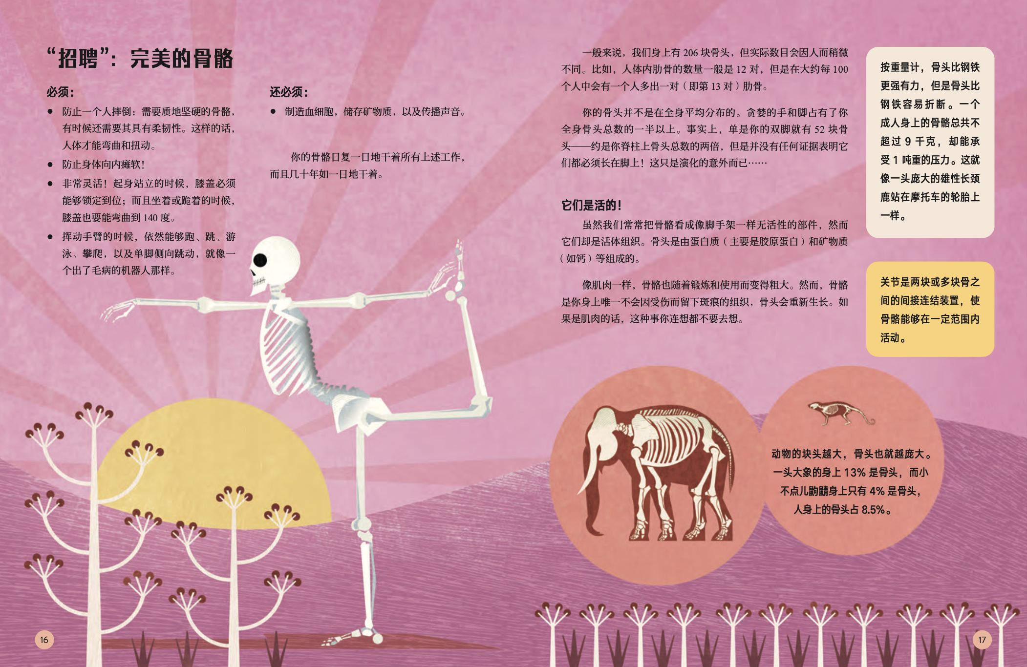 截屏2024-05-28 10.39.13.png