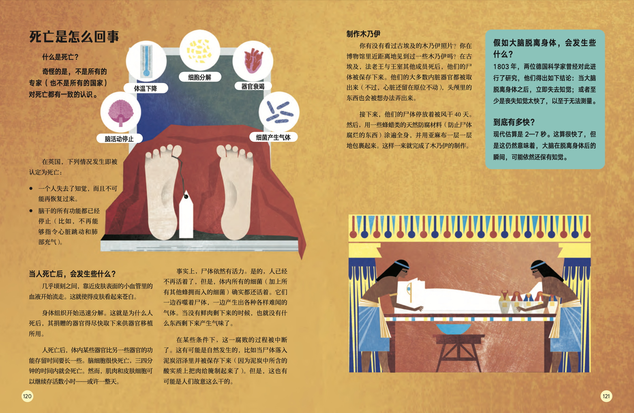 截屏2024-05-28 10.39.56.png