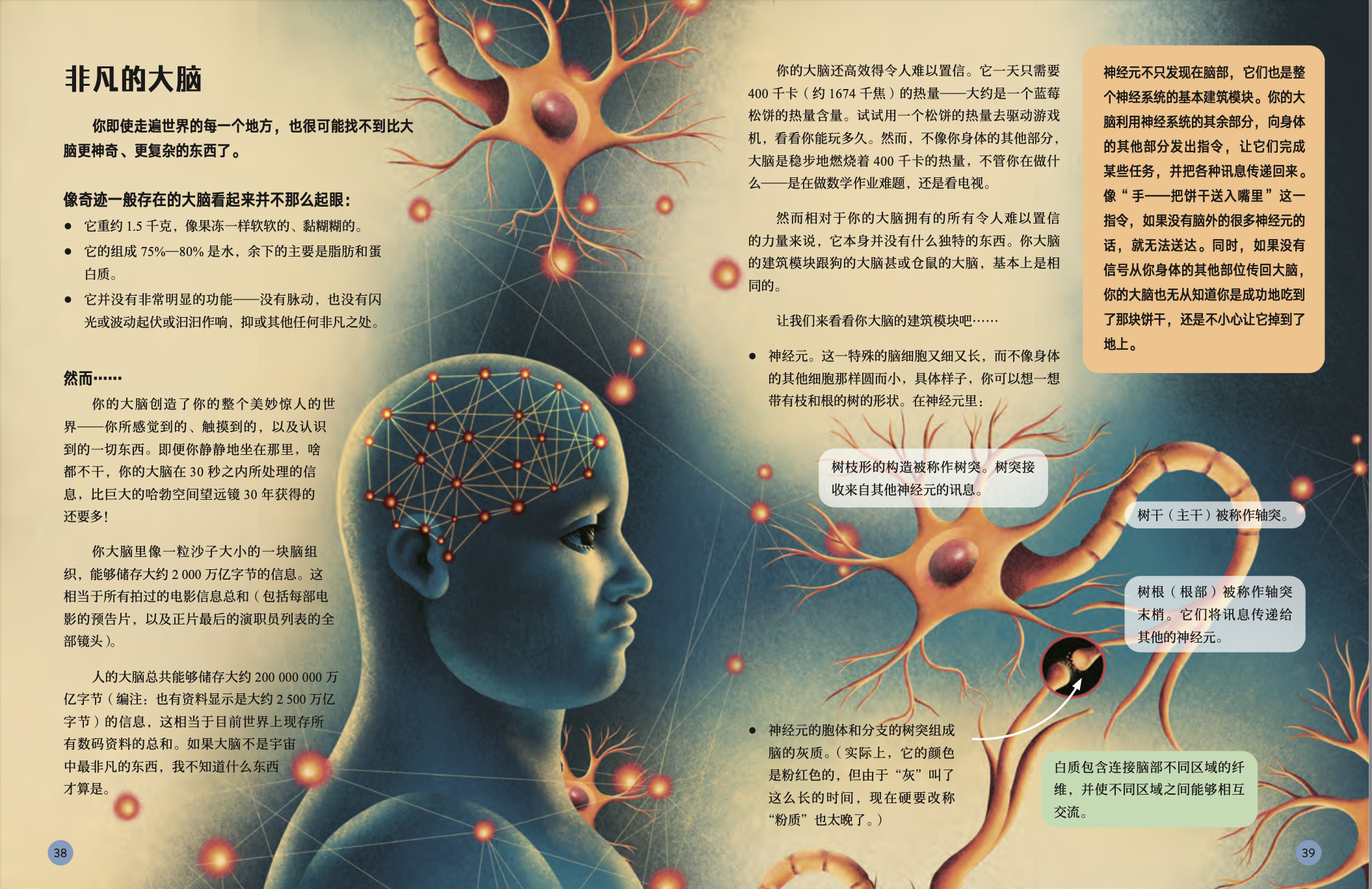 截屏2024-05-28 10.40.43.png